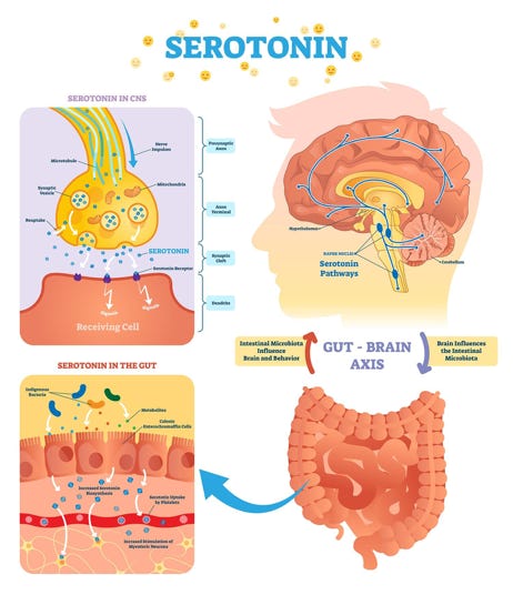 serotonin höjande medicin